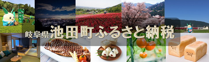 国内正規品 ふるなび ふるさと納税 デザインプレート 池田の森の紅葉 岐阜県池田町