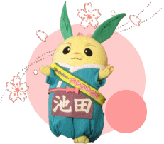 ちゃちゃまるさくら
