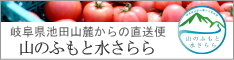 岐阜県池田山麗からの直送便　山のふもと水さらら