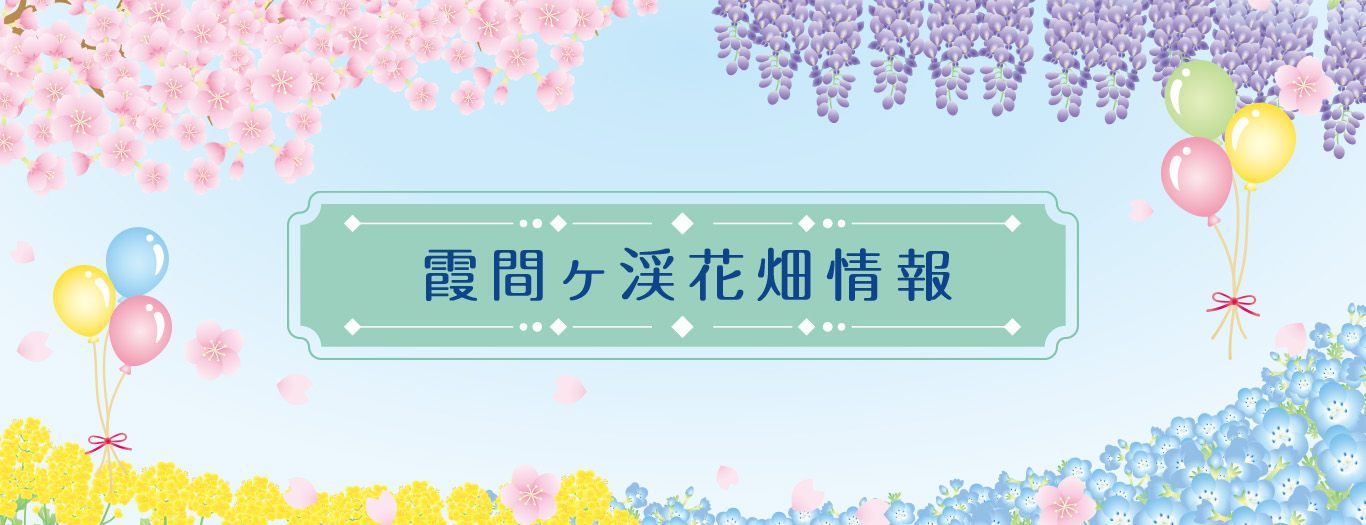 霞間ヶ渓花畑情報