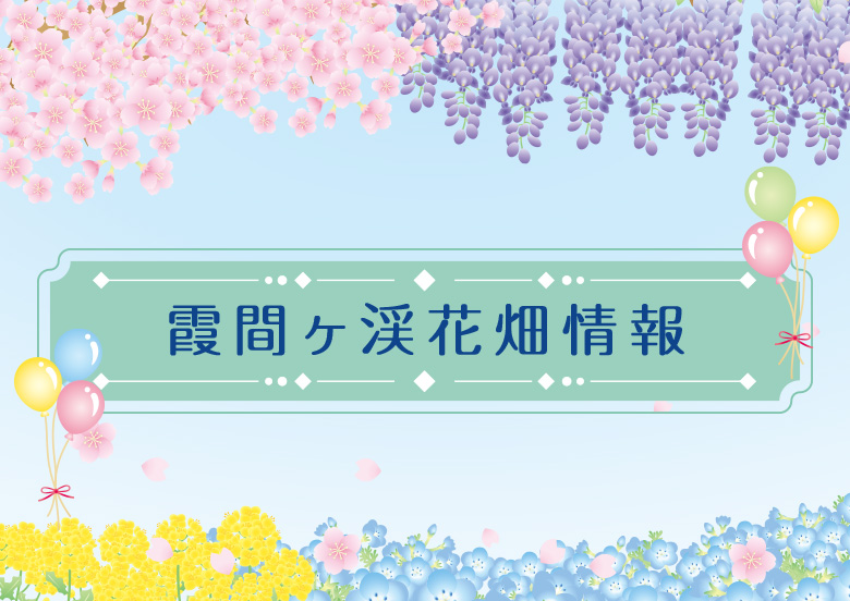 霞間ヶ渓花畑情報