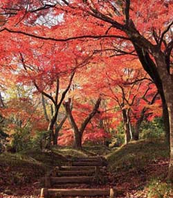 霞間ヶ渓・秋の写真