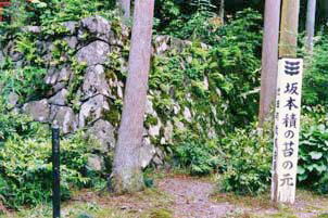 坂本積　（苔の元）