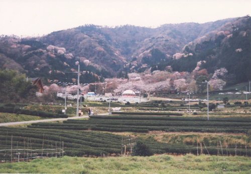 霞間ケ渓の遠景