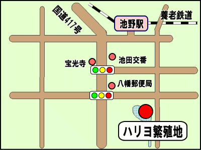 ハリヨ繁殖地　地図