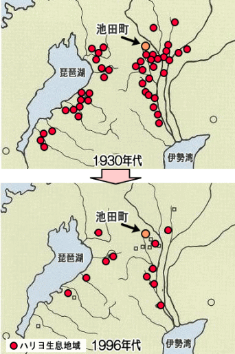 ハリヨ生息地域の変遷