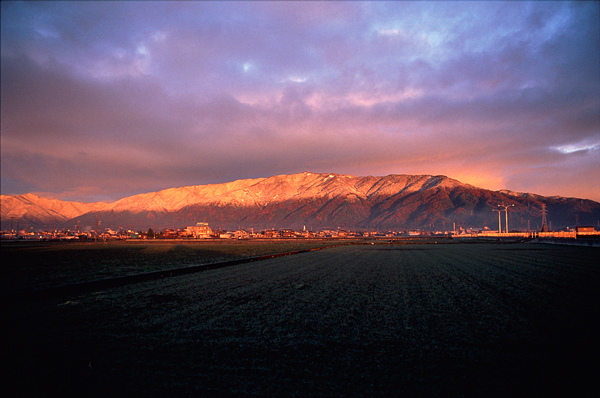 冬の池田山全景