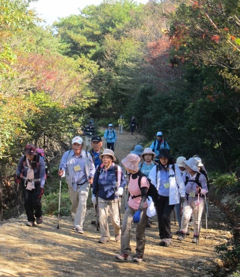 登山の写真