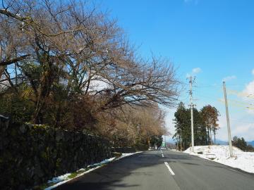 平成29年3月8日