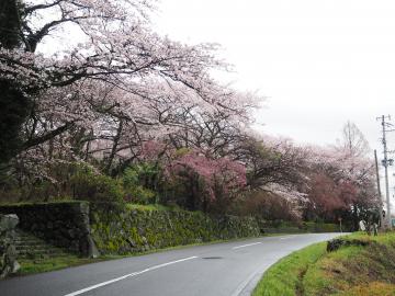 平成29年4月8日1