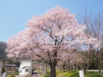 平成29年4月4日1