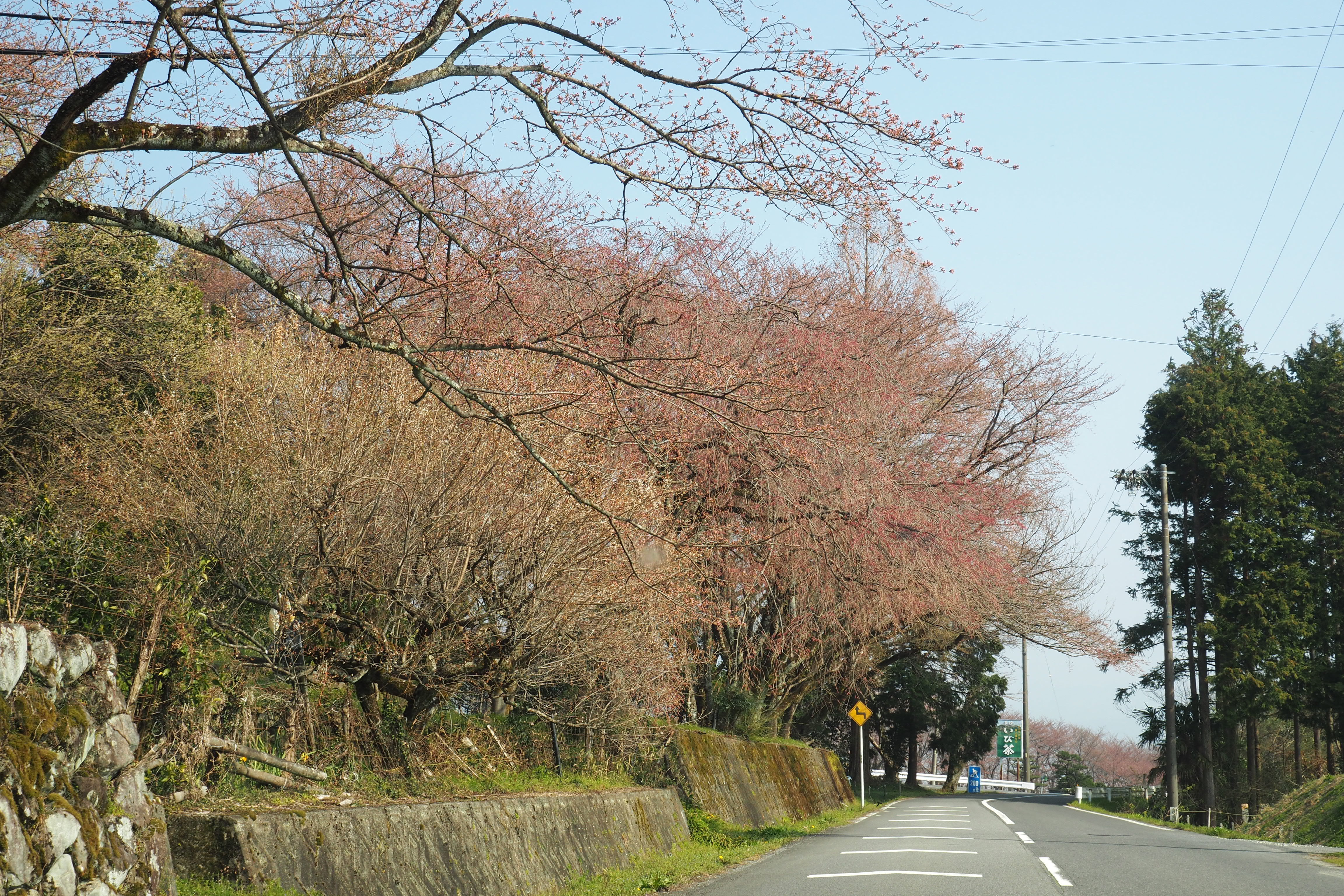 326禅蔵寺