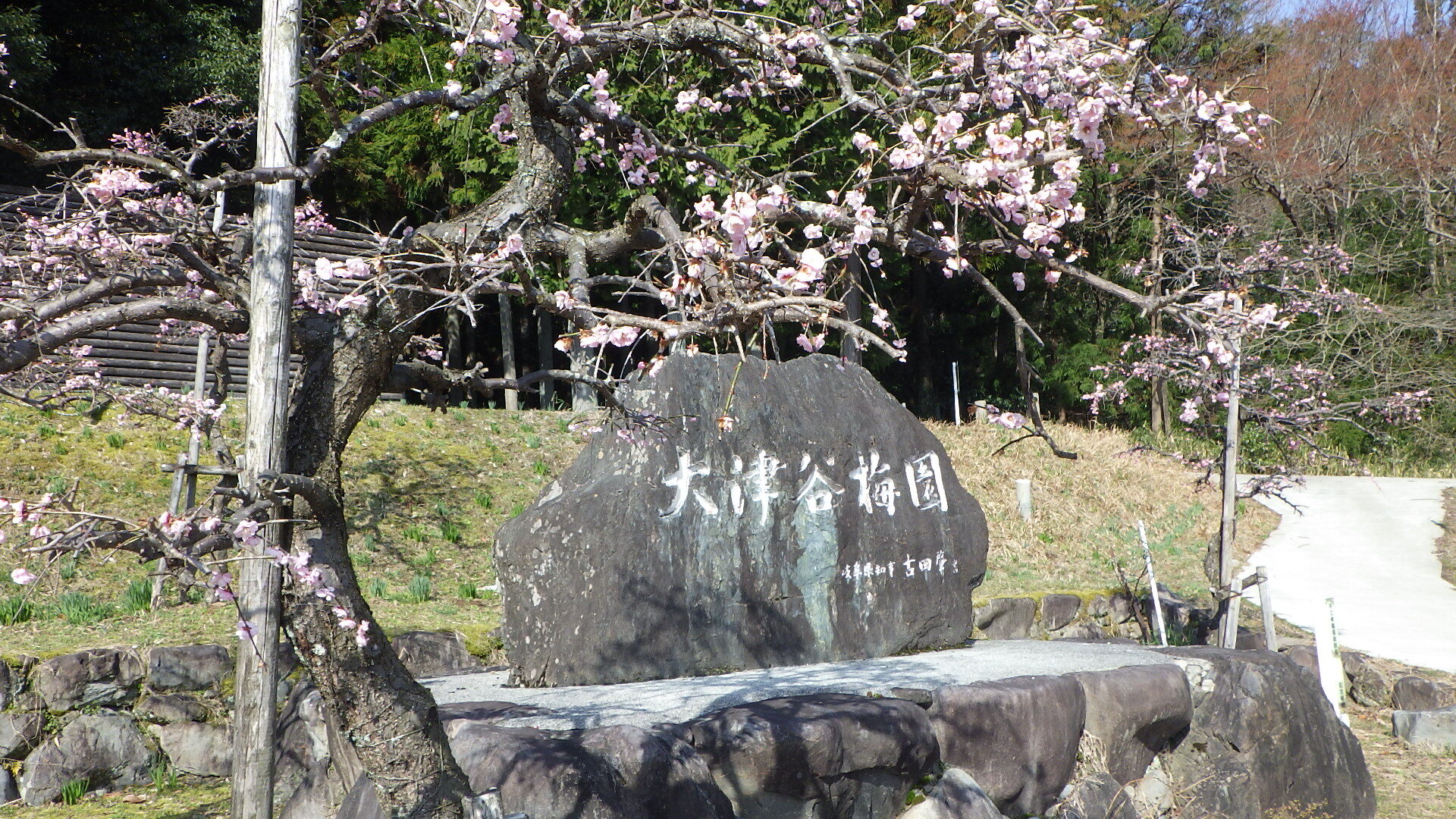 うめ
