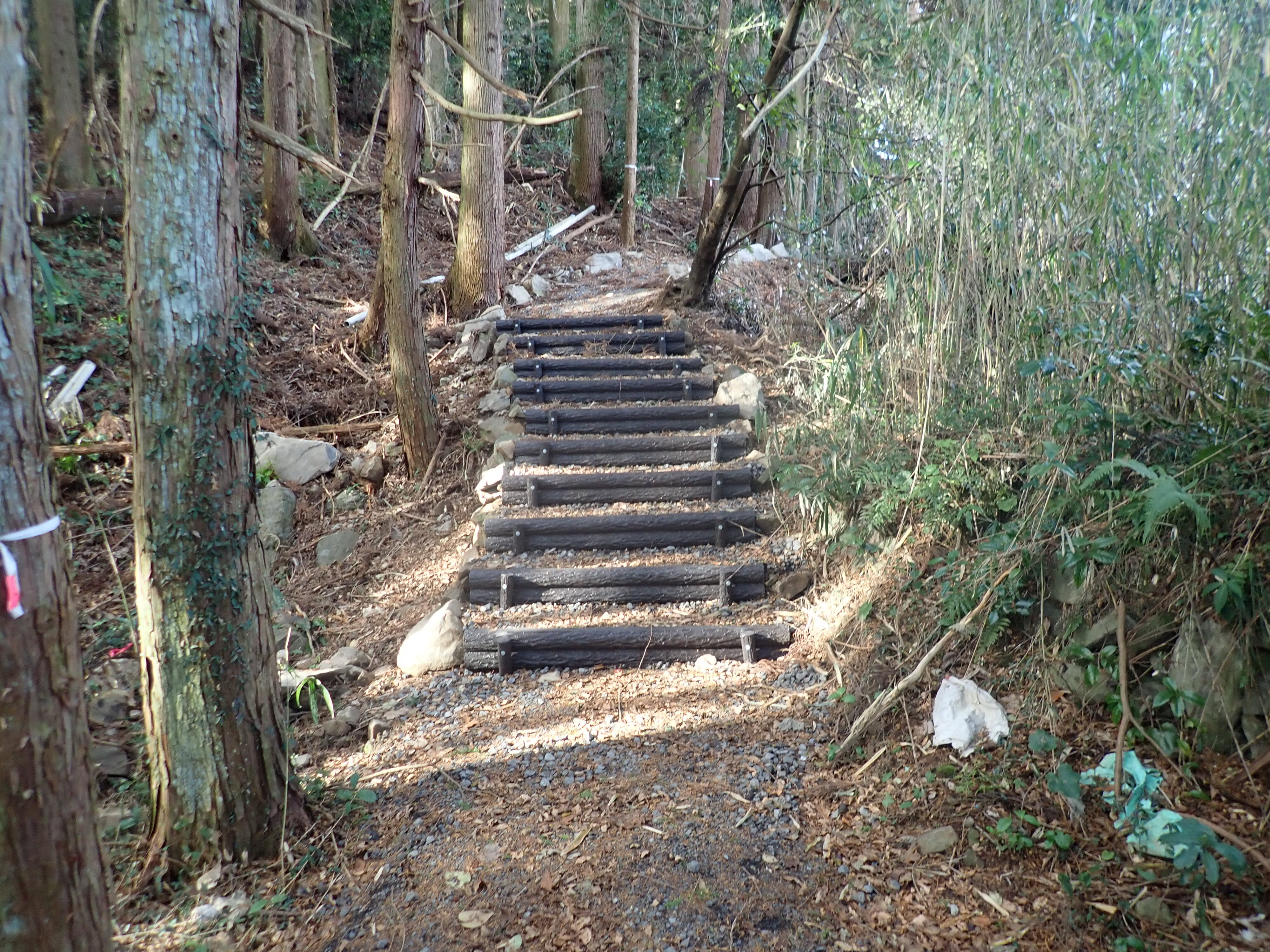 遊歩道の写真(2)